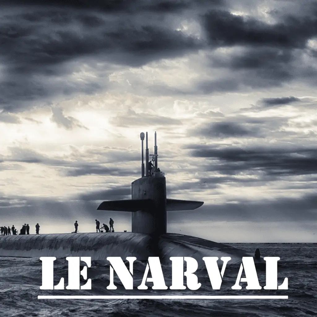 Le Narval - V1